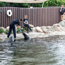 fot. Marcel Jakubowski