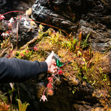 fot. Marcel Jakubowski