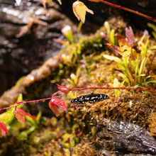 fot. Marcel Jakubowski