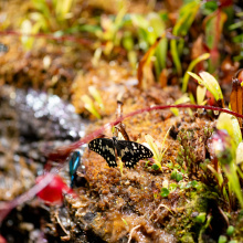 fot. Marcel Jakubowski