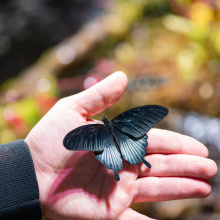 fot. Marcel Jakubowski