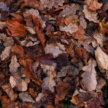 fot. Marcel Jakubowski