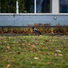 fot. Marcel Jakubowski