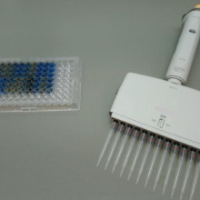 Marker diagnostyczny do wykrywania raka nabłonkowego pęcherza moczowego 