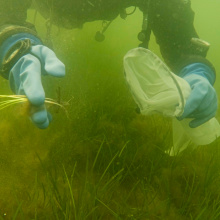 fot. Krystian Bielatowicz