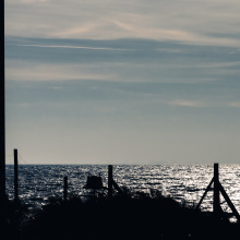 Photo by Alan Stocki/UG