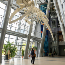 fot. Mateusz Byczkowski/Zespół Promocji