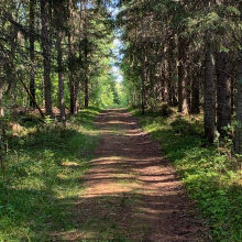 Źródło: materiały własne SB WELL