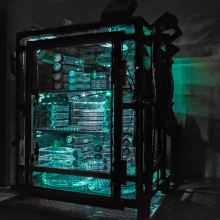 "Symbiotyczność tworzenia VOL.2 [Self Cells Portrait]"