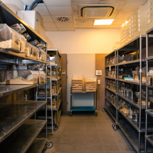 UG Experimental Animal Laboratory. Photo by Alan Stocki/UG.