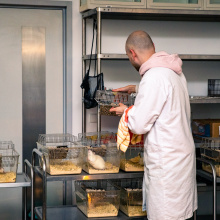 UG Experimental Animal Laboratory. Photo by Alan Stocki/UG.