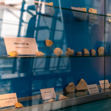 gablota wystawiennicza