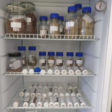 Zebrane nasiona gatunków zagrożonych