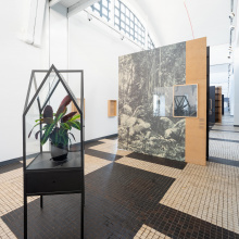 Zdjęcia dokumentujące wystawę „Klimaks”