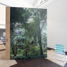 Zdjęcia dokumentujące wystawę „Klimaks”