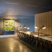 Zdjęcia dokumentujące wystawę „Klimaks”