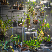 Zdjęcia dokumentujące wystawę „Klimaks”