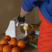 Wygrana aukcja WOŚP - rodzinny dzień z BHP, fot. B. Jętczak