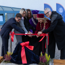 Hewelion na UG, ​​​​​​​Fot. B. Jętczak