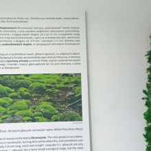 Obraz z mchu – kolejna ekspozycja w budynku Wydziału Biologii UG