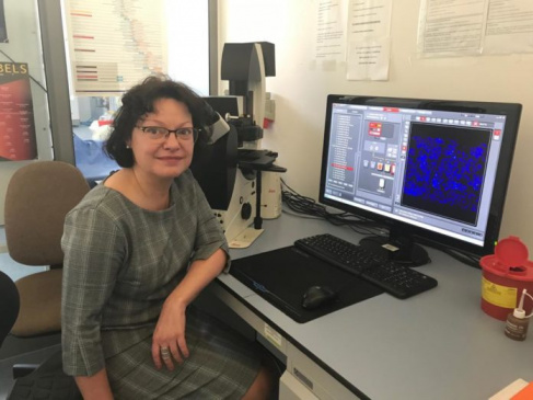 prof. dr hab. Anna Herman-Antosiewicz