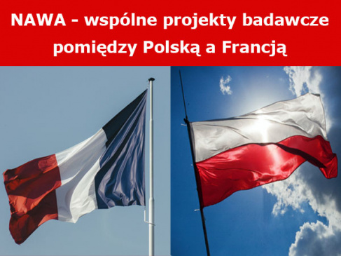Grafika poglądowa