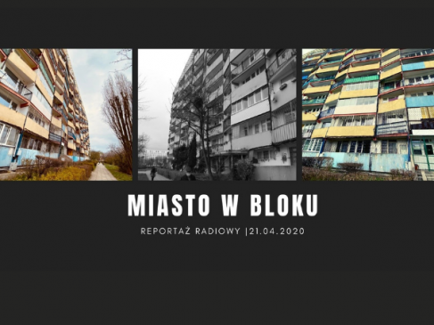 Miasto w bloku