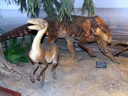 Silenozaury