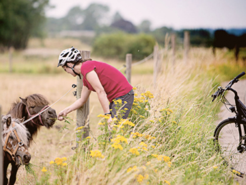 Kobieta karmiąca kucyki