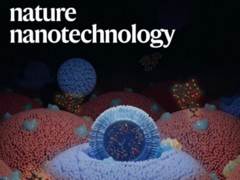 Nature nanotechnology