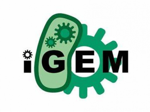 iGEM
