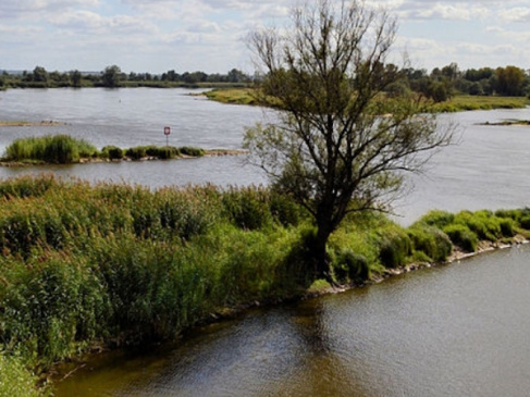 fot. mat. promocyjne 