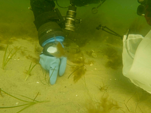 Fot. Krystian Bielatowicz