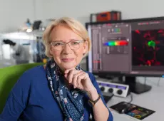 Prof. Krystyna Bieńkowska - Szewczyk